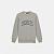 Толстовка Dickies Aitkin Sweatshirt Gry/Dark Forest